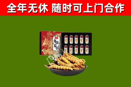 双清区回收冬虫夏草价格